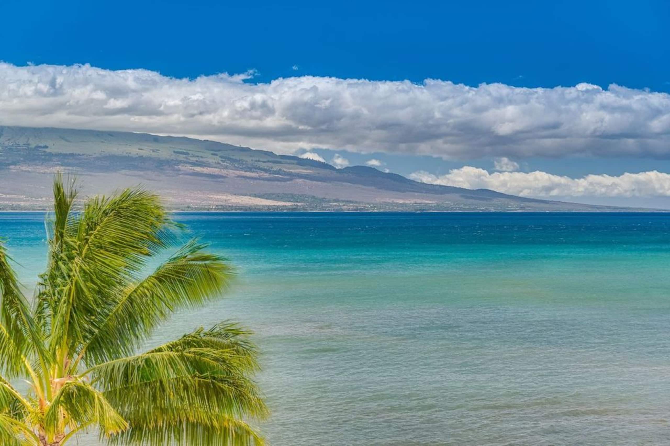 Condo in Wailuku · ★4.9 · 1 bedroom · 1 bed · 1 bath - Image 35