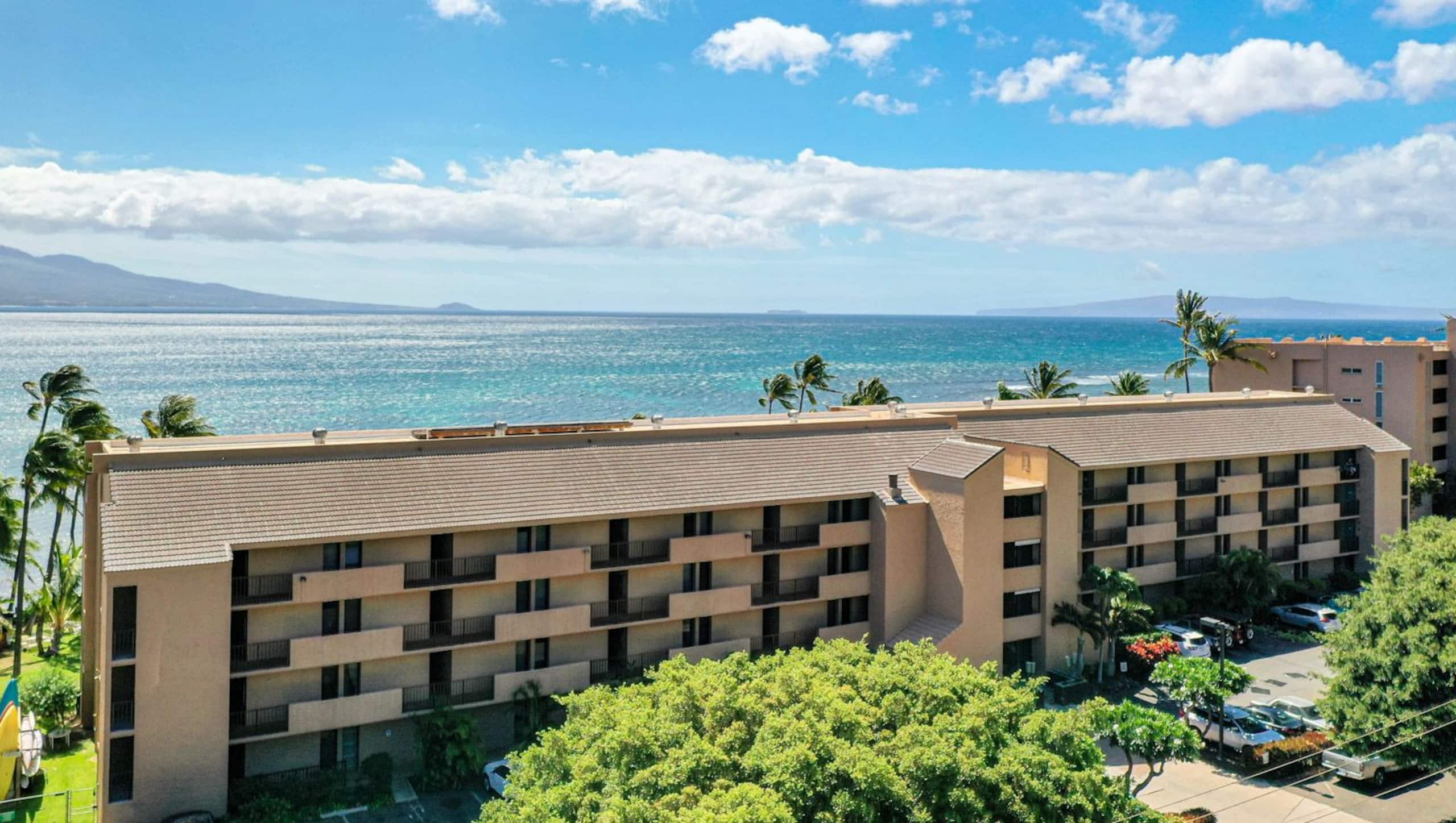 Condo in Wailuku · ★4.9 · 1 bedroom · 1 bed · 1 bath - Image 14