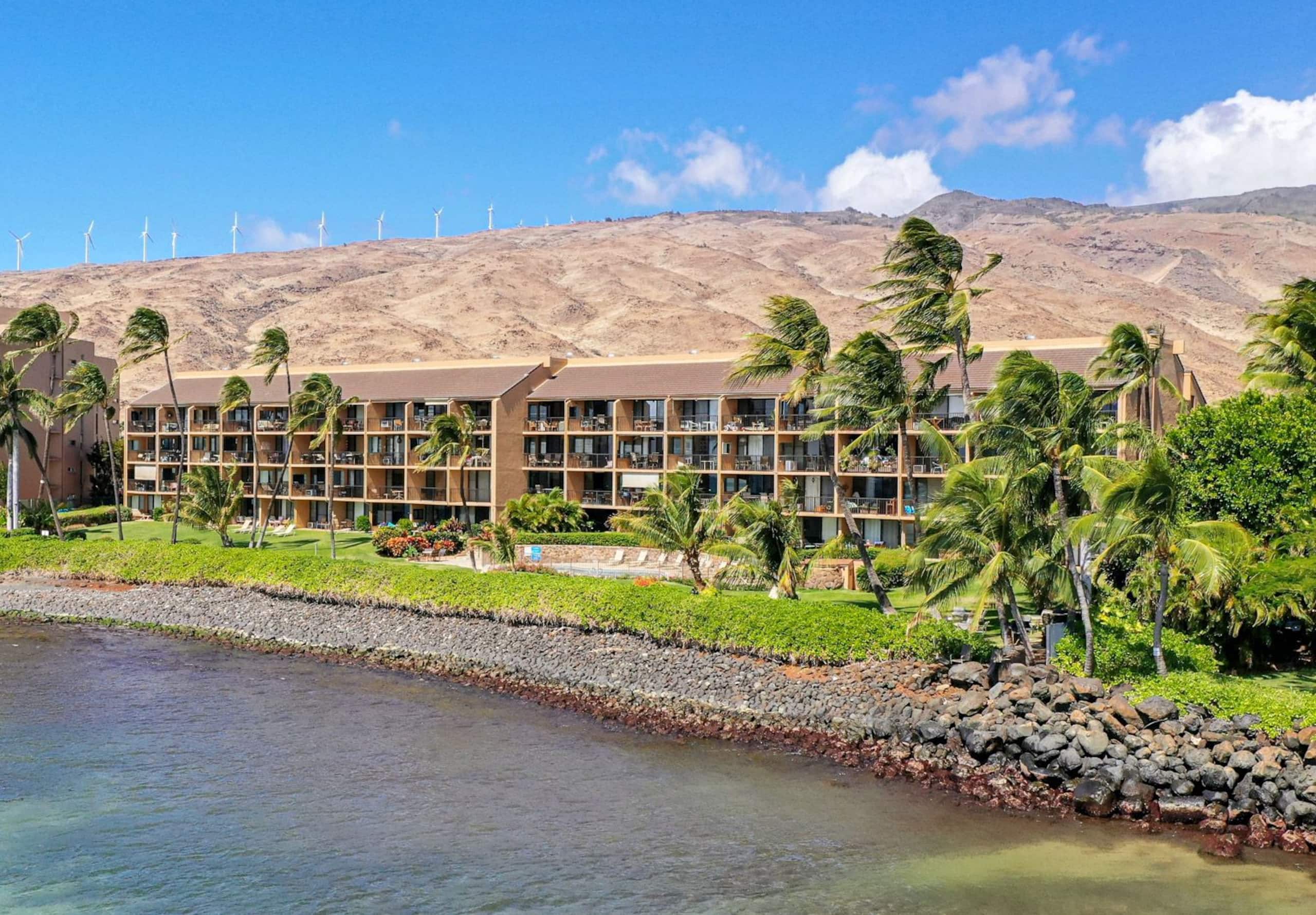 Condo in Wailuku · ★4.9 · 1 bedroom · 1 bed · 1 bath - Image 15