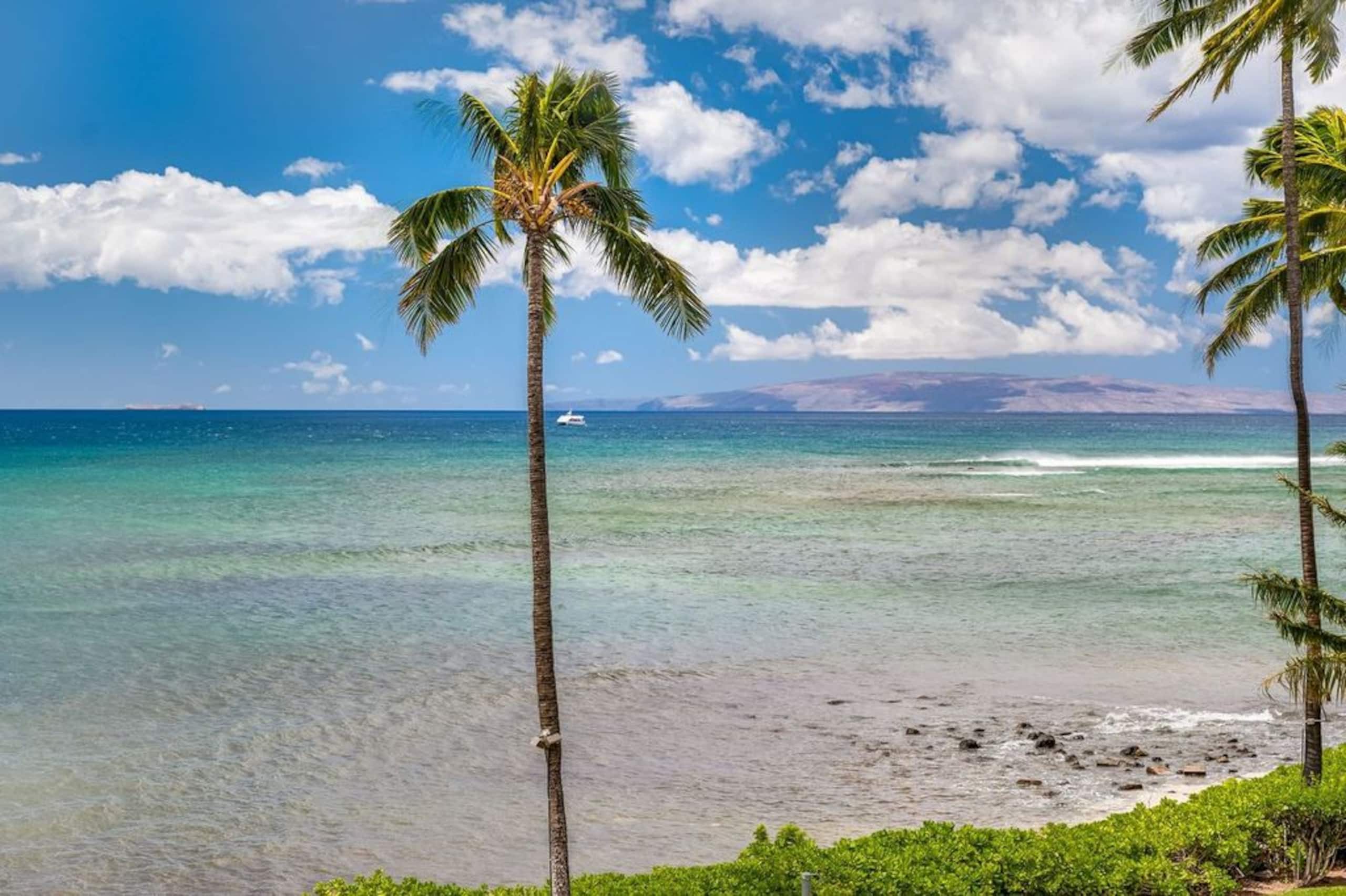 Condo in Wailuku · ★4.9 · 1 bedroom · 1 bed · 1 bath - Image 34