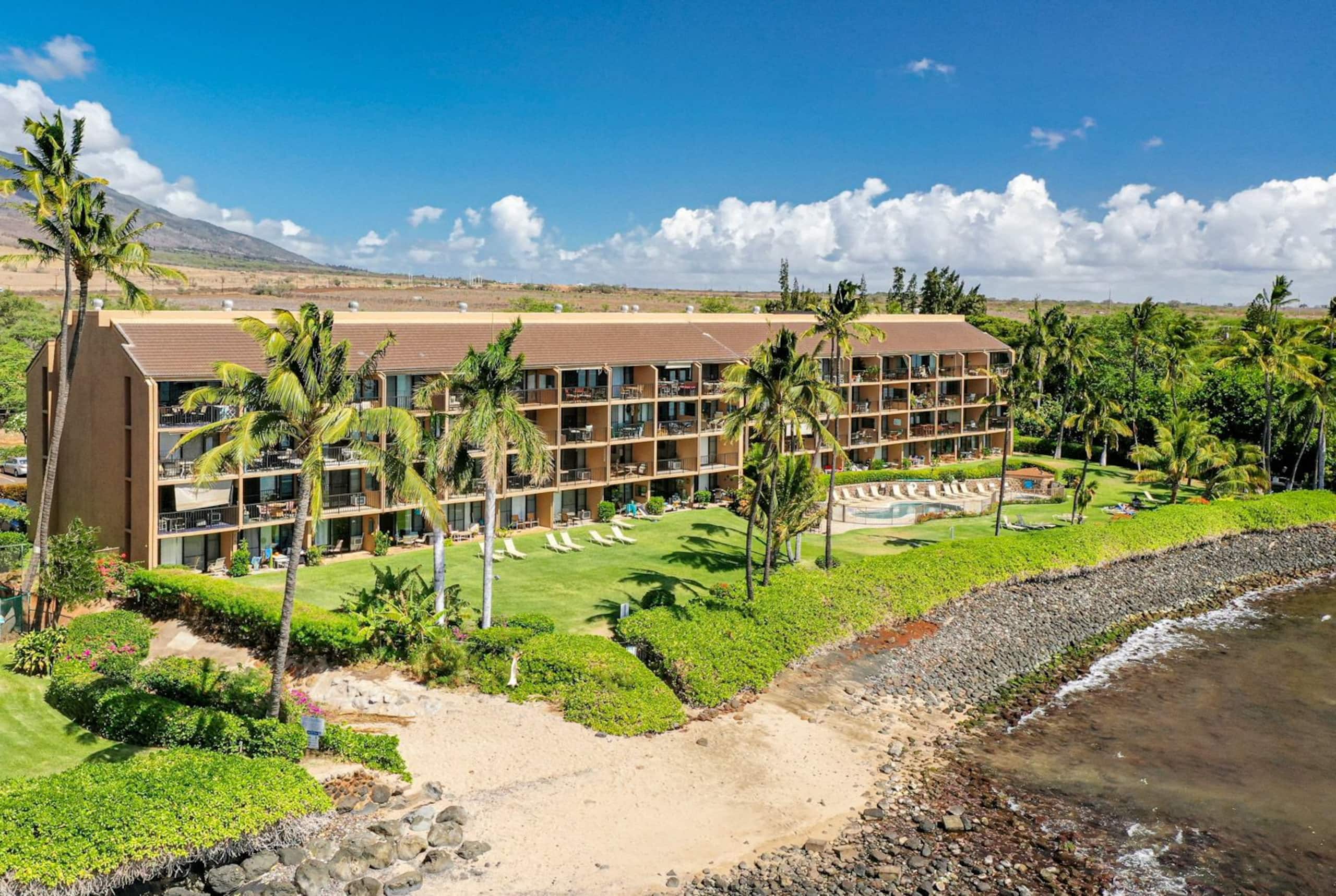 Condo in Wailuku · ★4.9 · 1 bedroom · 1 bed · 1 bath - Image 5