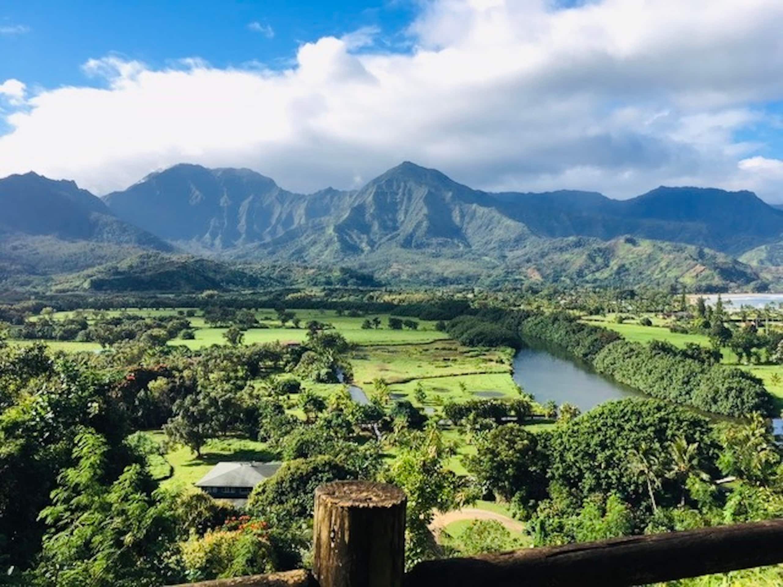 Condo in Princeville · ★4.93 · 2 bedrooms · 2 beds · 1 private bath - Image 13