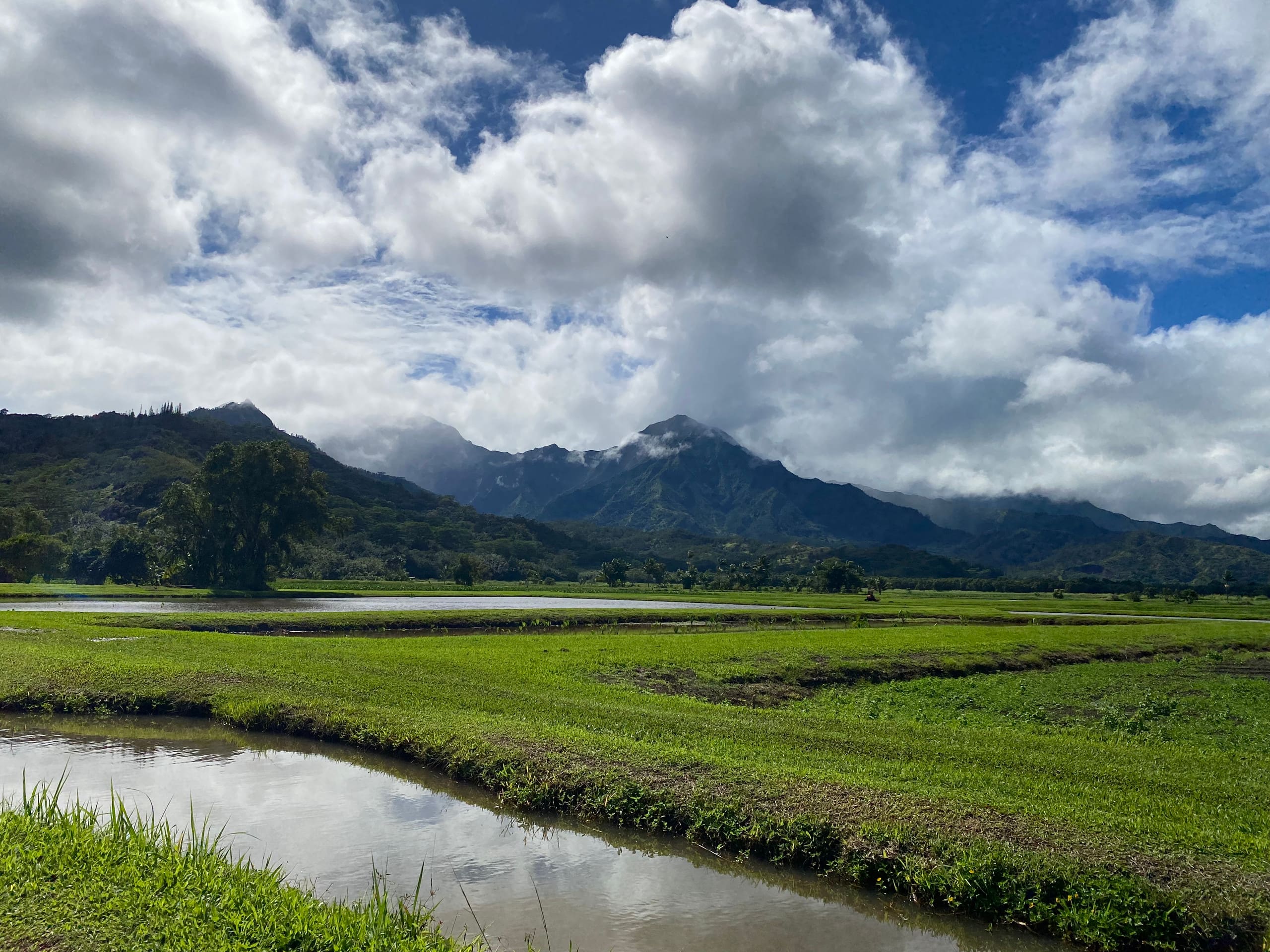 Condo in Princeville · ★4.93 · 2 bedrooms · 2 beds · 1 private bath - Image 18