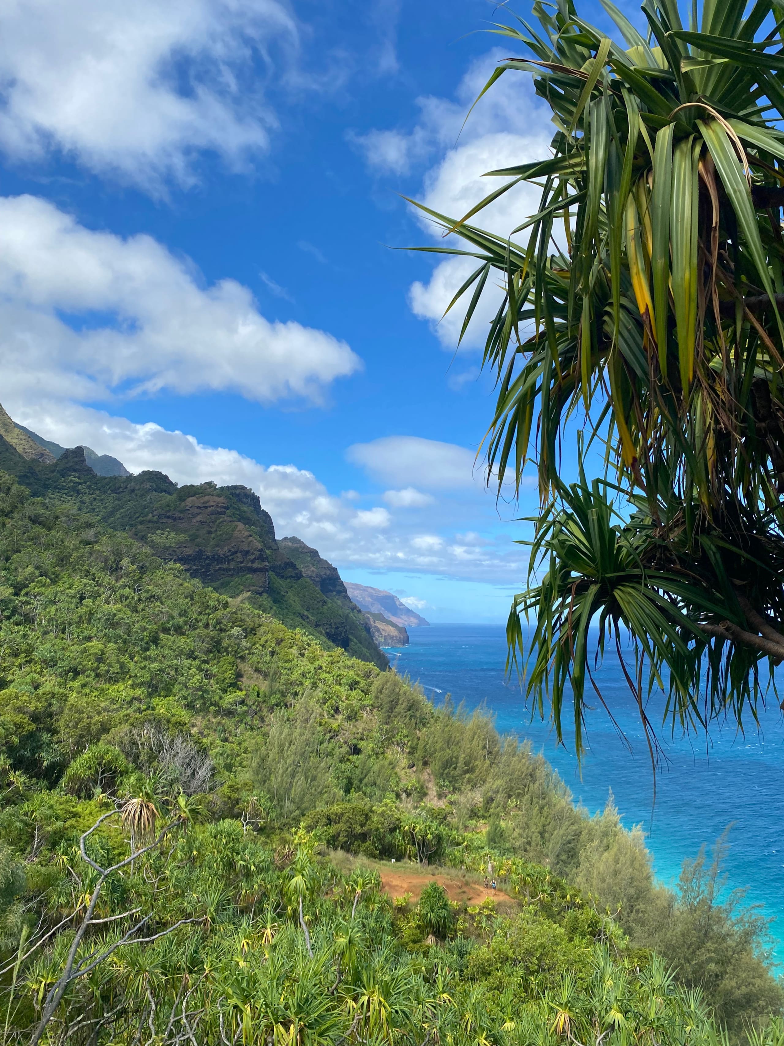 Condo in Princeville · ★4.93 · 2 bedrooms · 2 beds · 1 private bath - Image 26