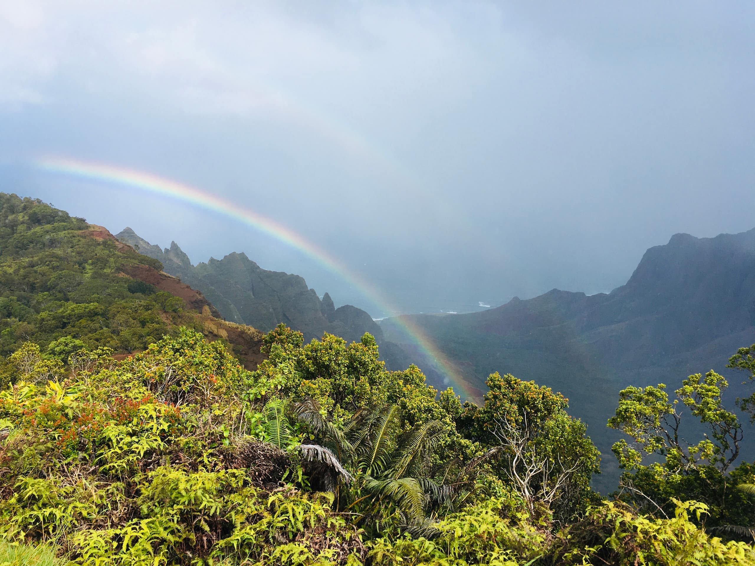 Condo in Princeville · ★4.93 · 2 bedrooms · 2 beds · 1 private bath - Image 21