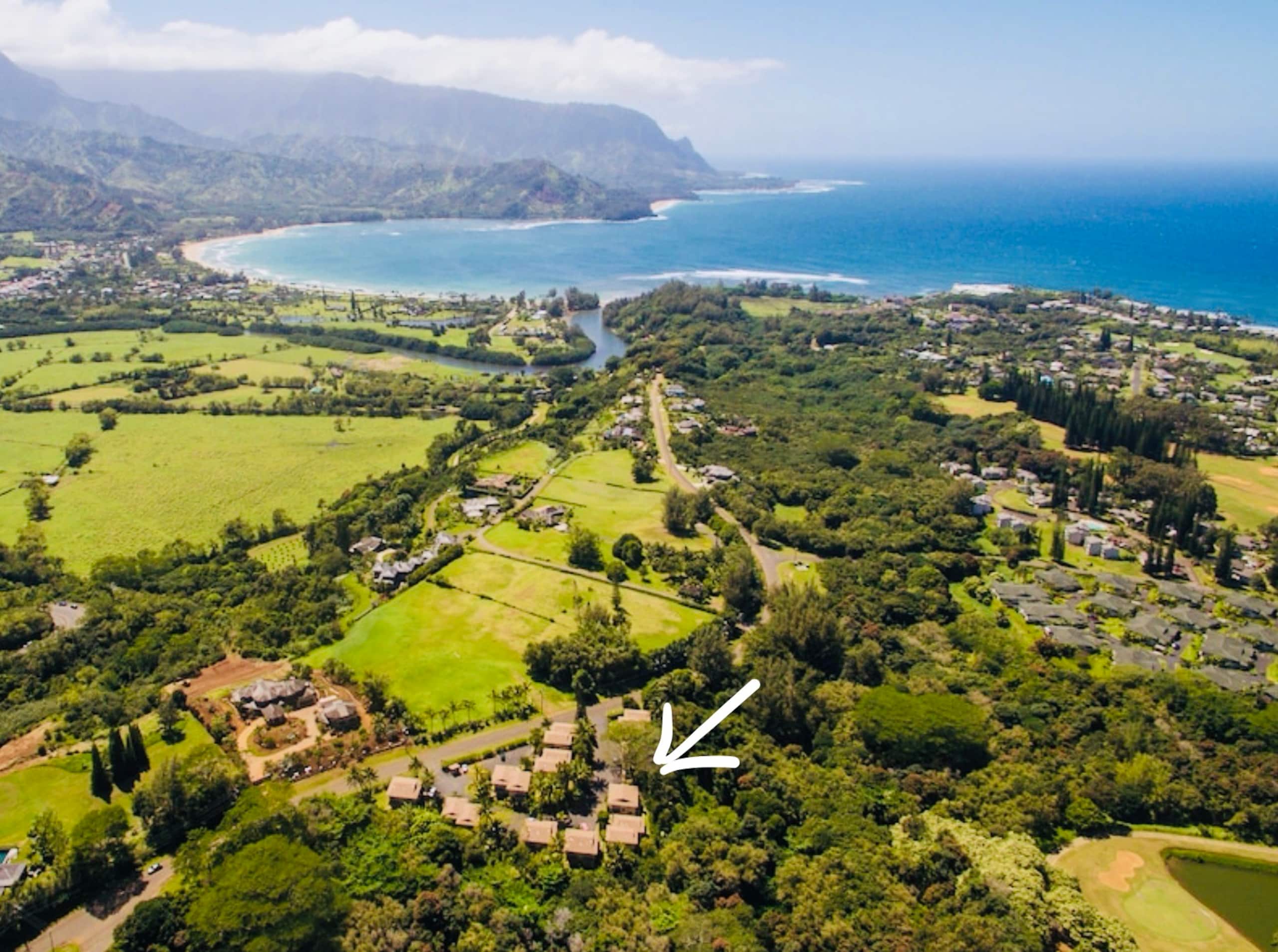 Condo in Princeville · ★4.93 · 2 bedrooms · 2 beds · 1 private bath - Image 15