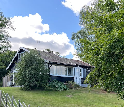 Lilla sjöglimten