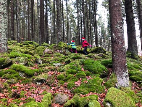 Waldhaus Max, an entire house just for you!