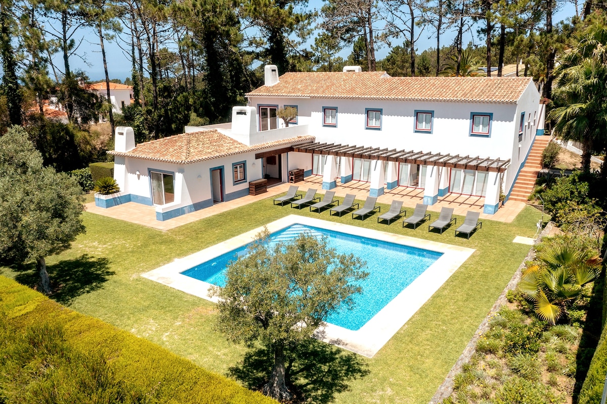 An expansive outdoor area features a rectangular blue swimming pool surrounded by ten sun loungers. The white building, with a tiled roof, includes a shaded terrace and lush greenery, providing a serene atmosphere. Tall trees rise in the background, enhancing the privacy of the space.