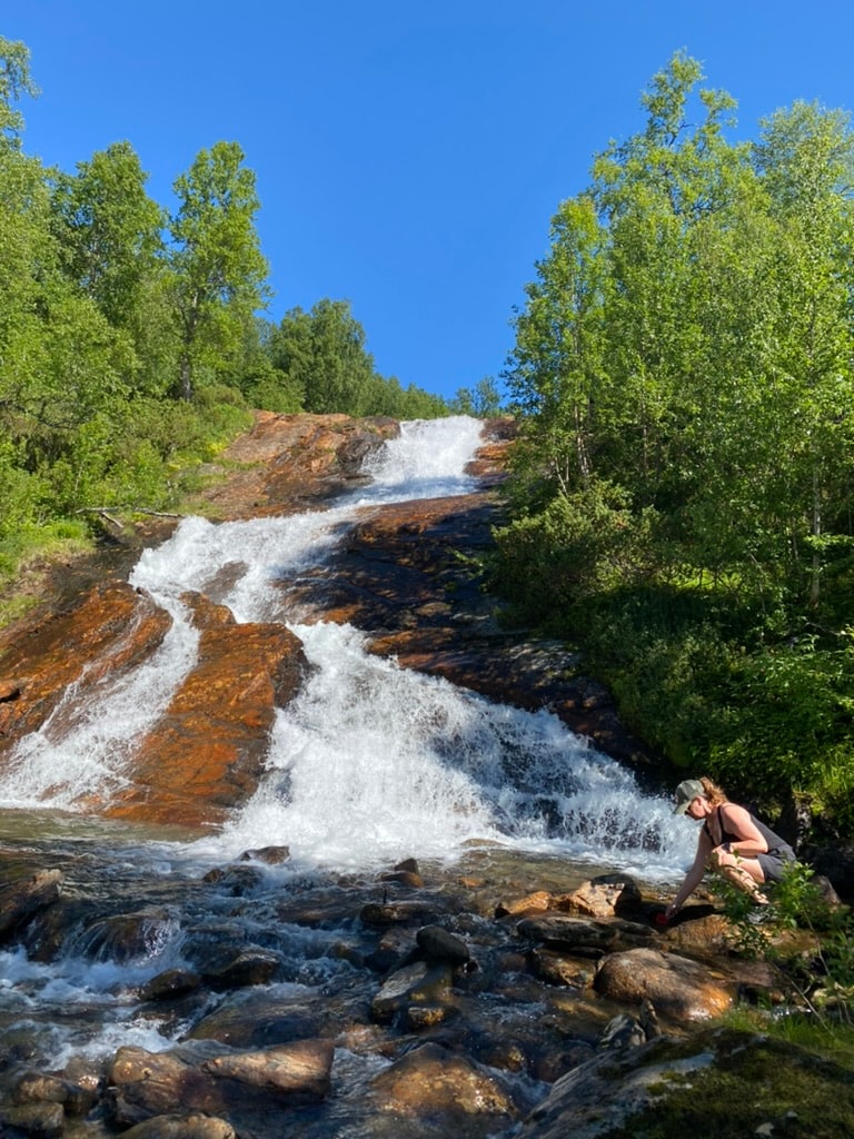 A vibrant waterfall cascades down a rocky slope, surrounded by lush greenery. Sunlight filters through the trees, illuminating the water as it tumbles into a shallow pool below. Smooth stones and pebbles line the bank, inviting exploration.