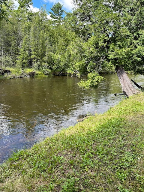 Authentic River front Log Cabin