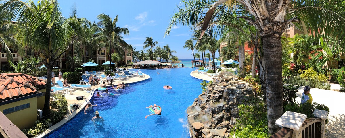 An expansive infinity pool is highlighted, surrounded by palm trees and lounge chairs. Guests can be seen enjoying the water under a clear blue sky. The pool area seamlessly transitions to a sandy beach, inviting guests for leisurely outdoor activities.