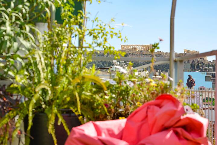 Colourful Cosmopolitan Athens | Acropolis view gallery image 2