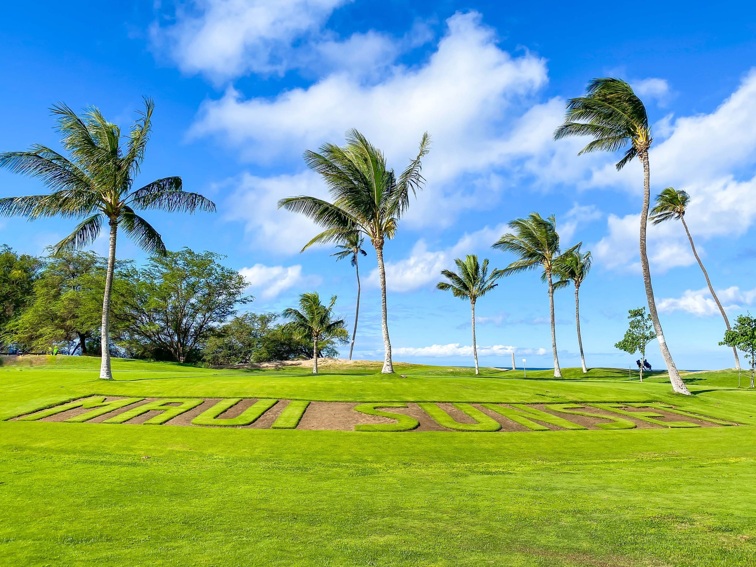 South Maui Beach Front Condo - Image 52