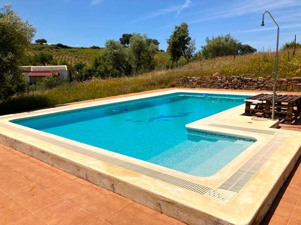 A rectangular swimming pool is surrounded by clean, tiled decking. The water appears clear and inviting, reflecting the blue sky. A wooden structure with a sunbed is positioned nearby, and greenery is visible in the background.