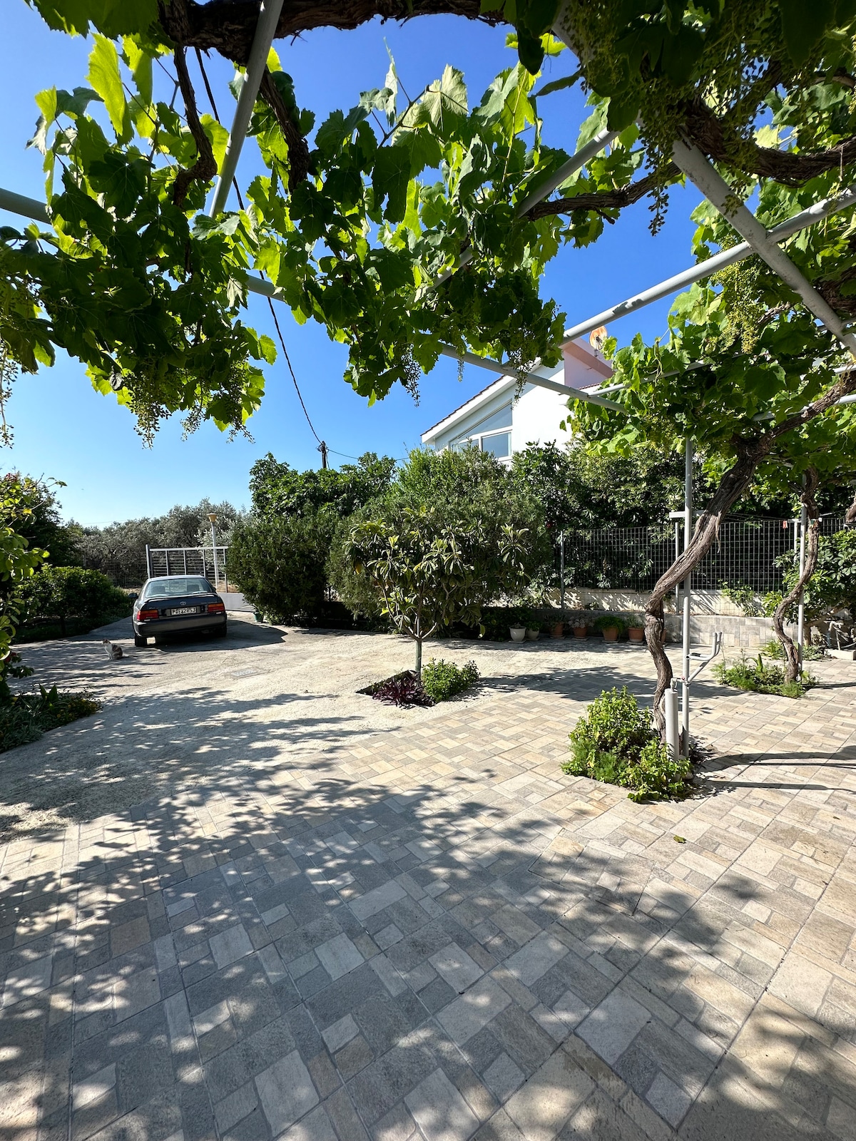 A shaded outdoor area is lined with leafy vines, providing a serene atmosphere. Paved pathways are bordered by neatly trimmed plants and bushes. A parked car is visible, suggesting convenient access to the space. Clear blue skies enhance the natural surroundings.