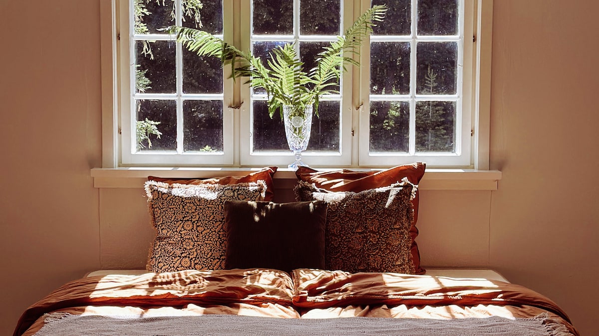 A cozy sleeping area is illuminated by natural light streaming through a row of six windows. Plush pillows in warm tones are arranged against the headboard, complemented by a clear vase containing a leafy fern on the windowsill.