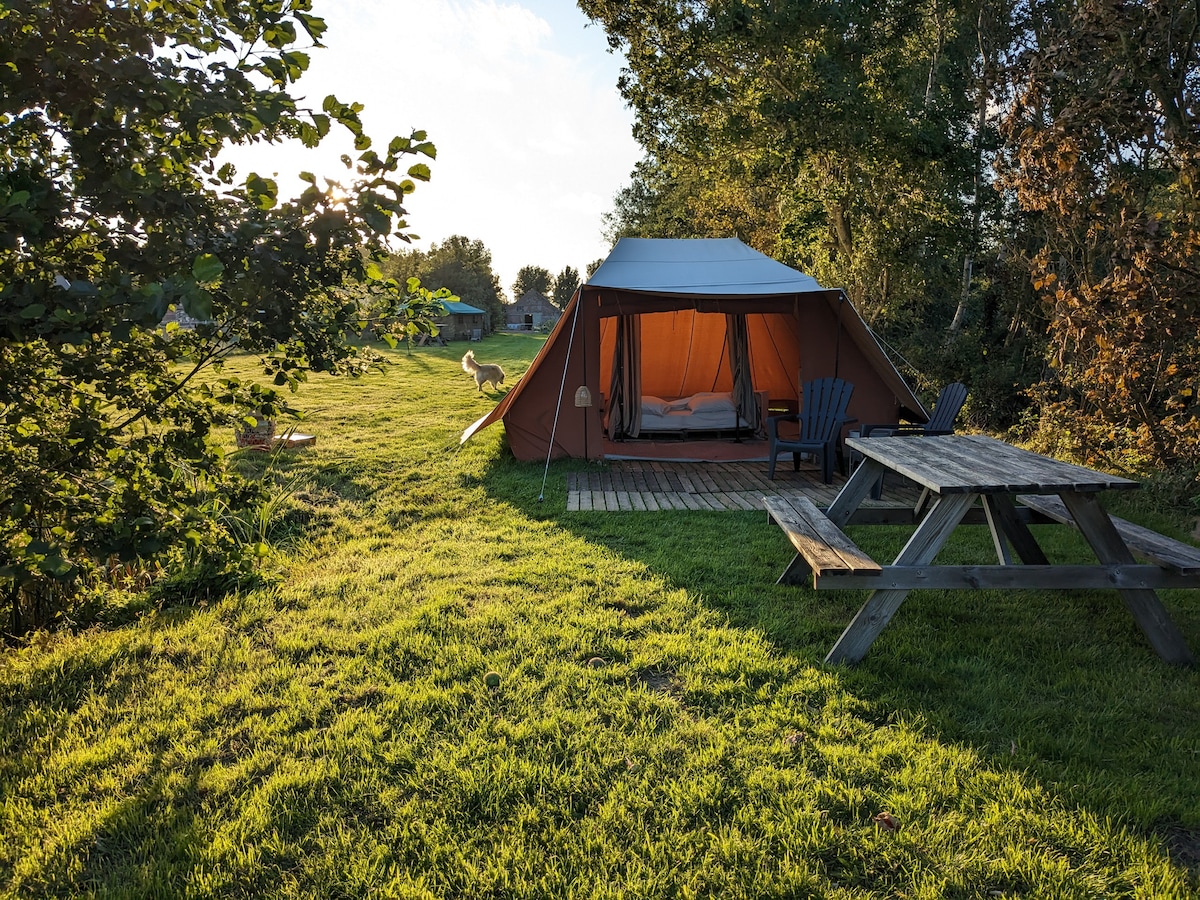 IJsselmeer Tent Rentals - Netherlands | Airbnb