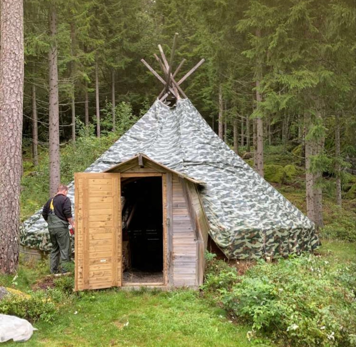 A traditional lavvu, covered in camouflage fabric, is nestled among towering trees. The structure features a wooden door, with a person nearby engaged in an activity. Lush greenery surrounds the area, creating a natural and tranquil setting.