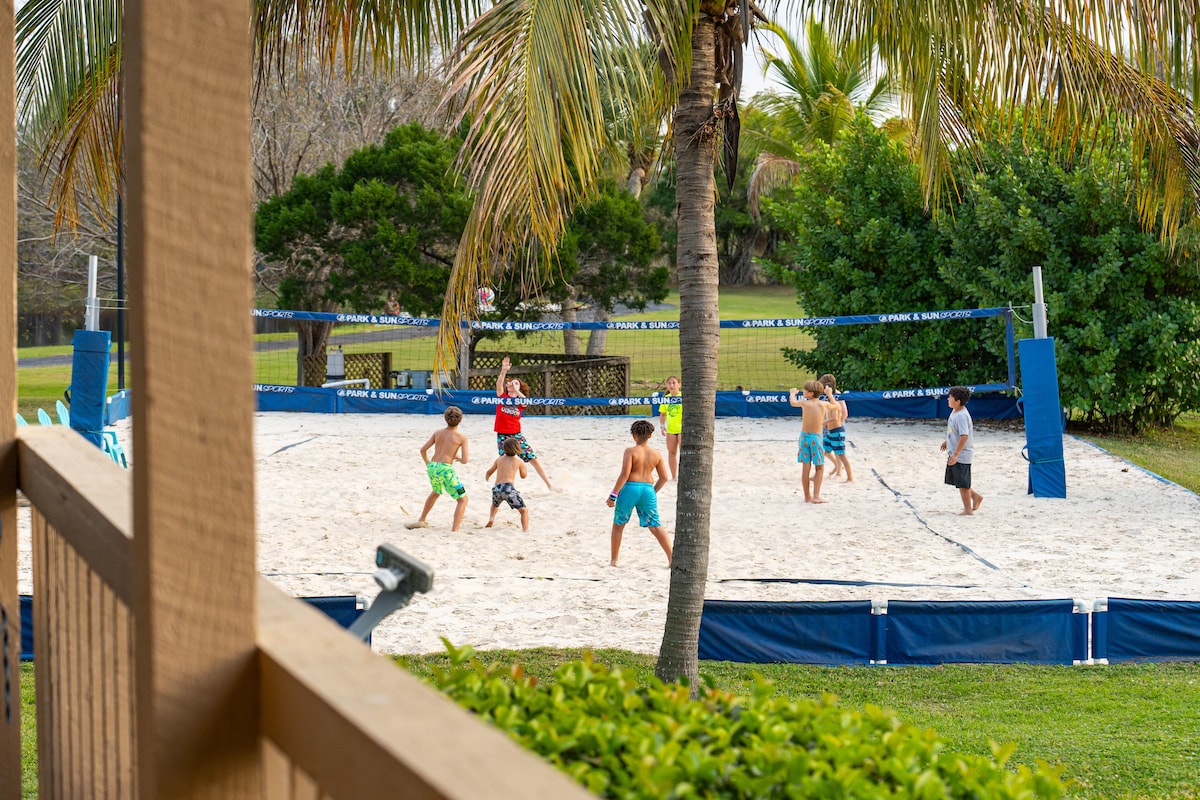 A spacious sandy beach volleyball court is highlighted in the image, surrounded by palm trees and lush greenery. Various individuals are engaged in a game, showcasing movement and activity. The court is enclosed with blue netting, emphasizing a playful outdoor atmosphere.