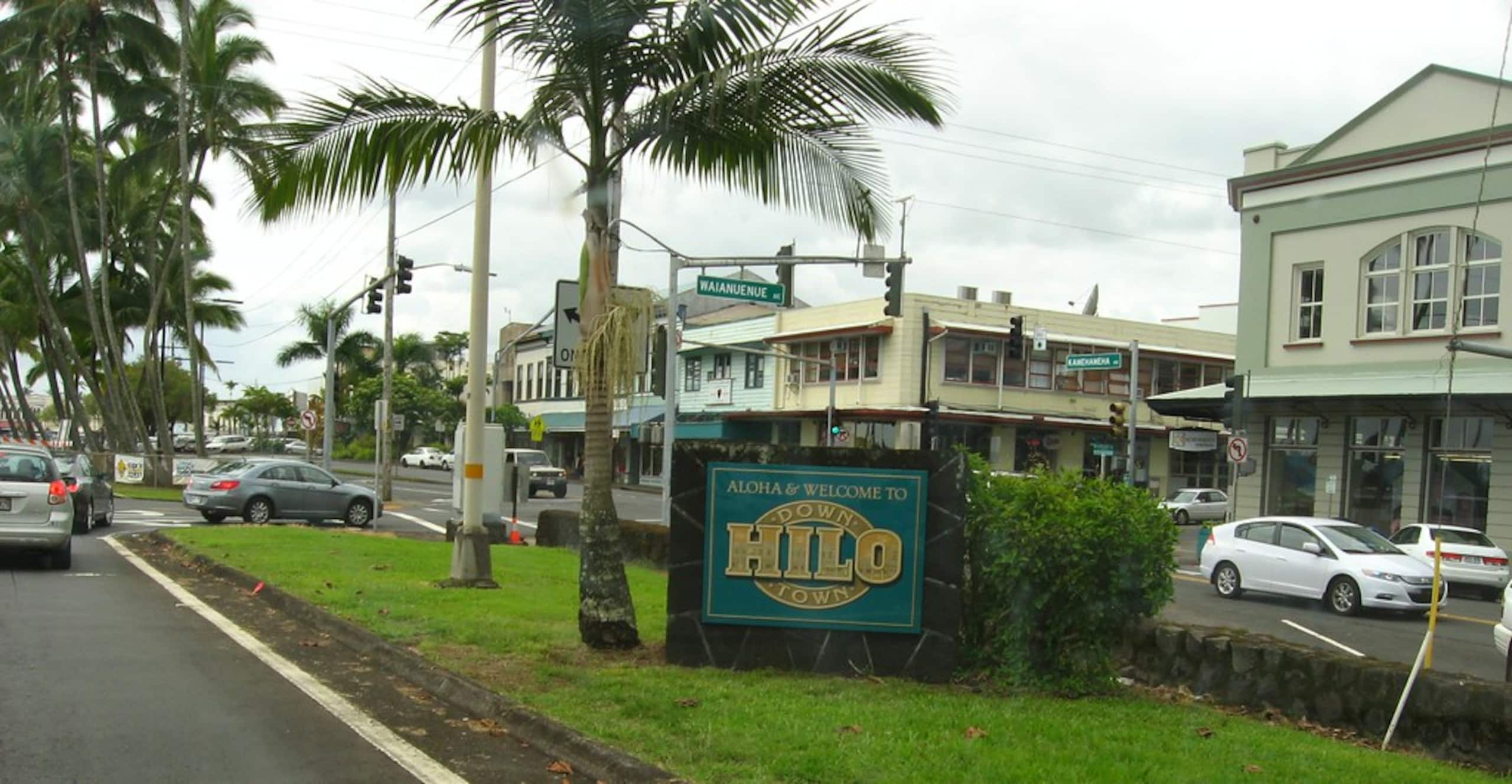 Home in Hilo · ★5.0 · 1 bedroom · 2 beds · 1 private bath - Image 131