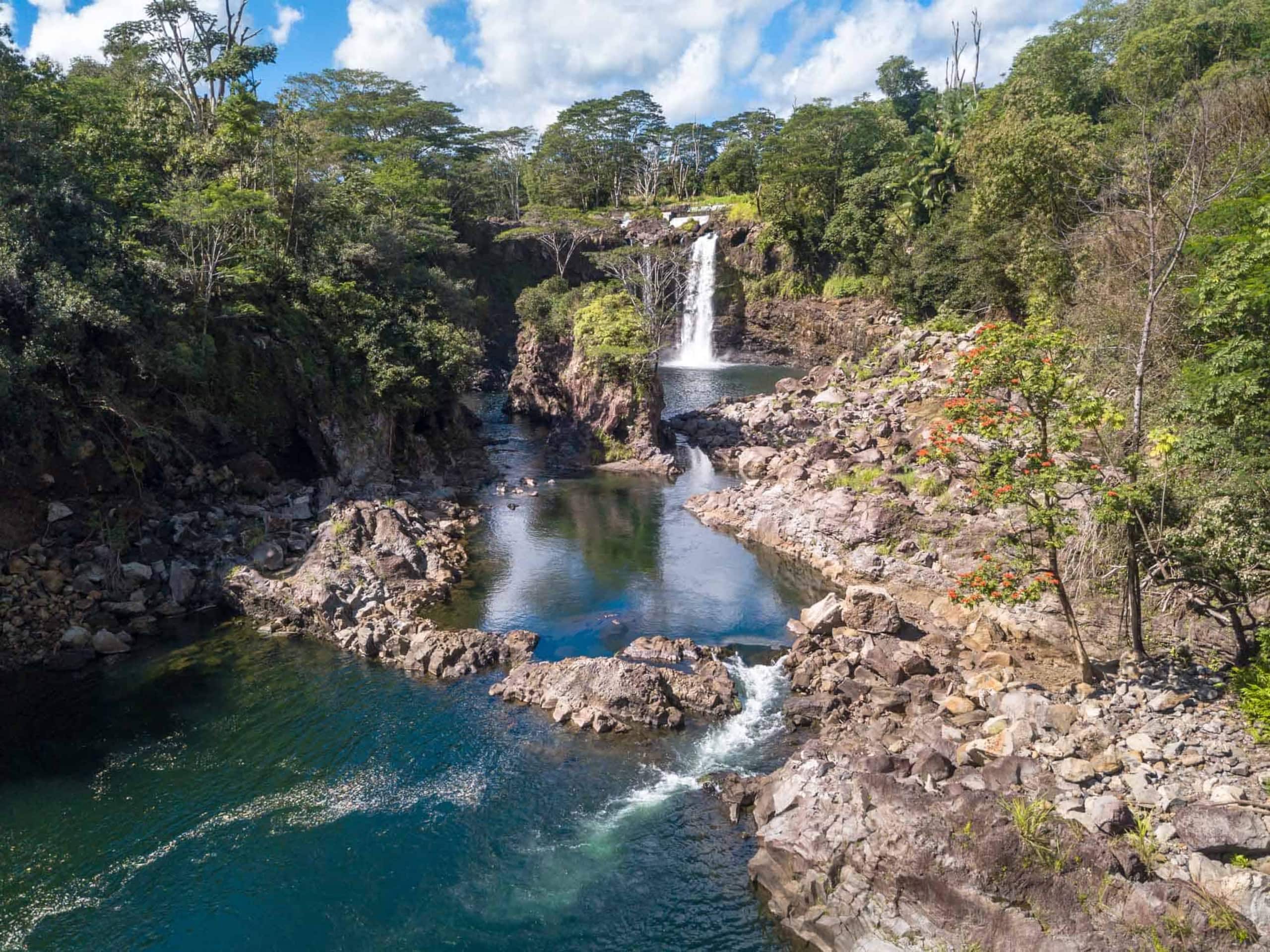 Home in Hilo · ★5.0 · 1 bedroom · 2 beds · 1 private bath - Image 140