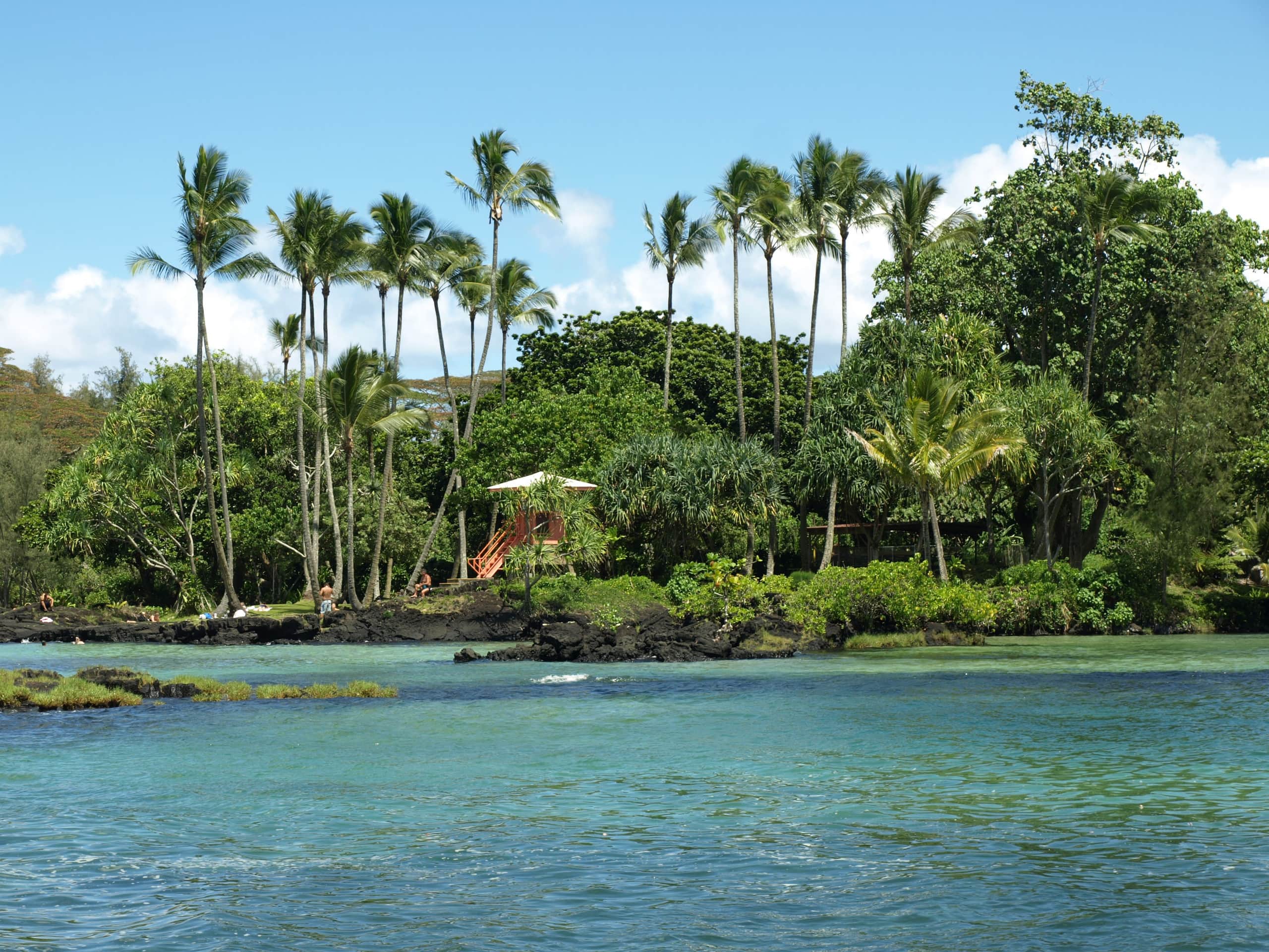 Home in Hilo · ★5.0 · 1 bedroom · 2 beds · 1 private bath - Image 136