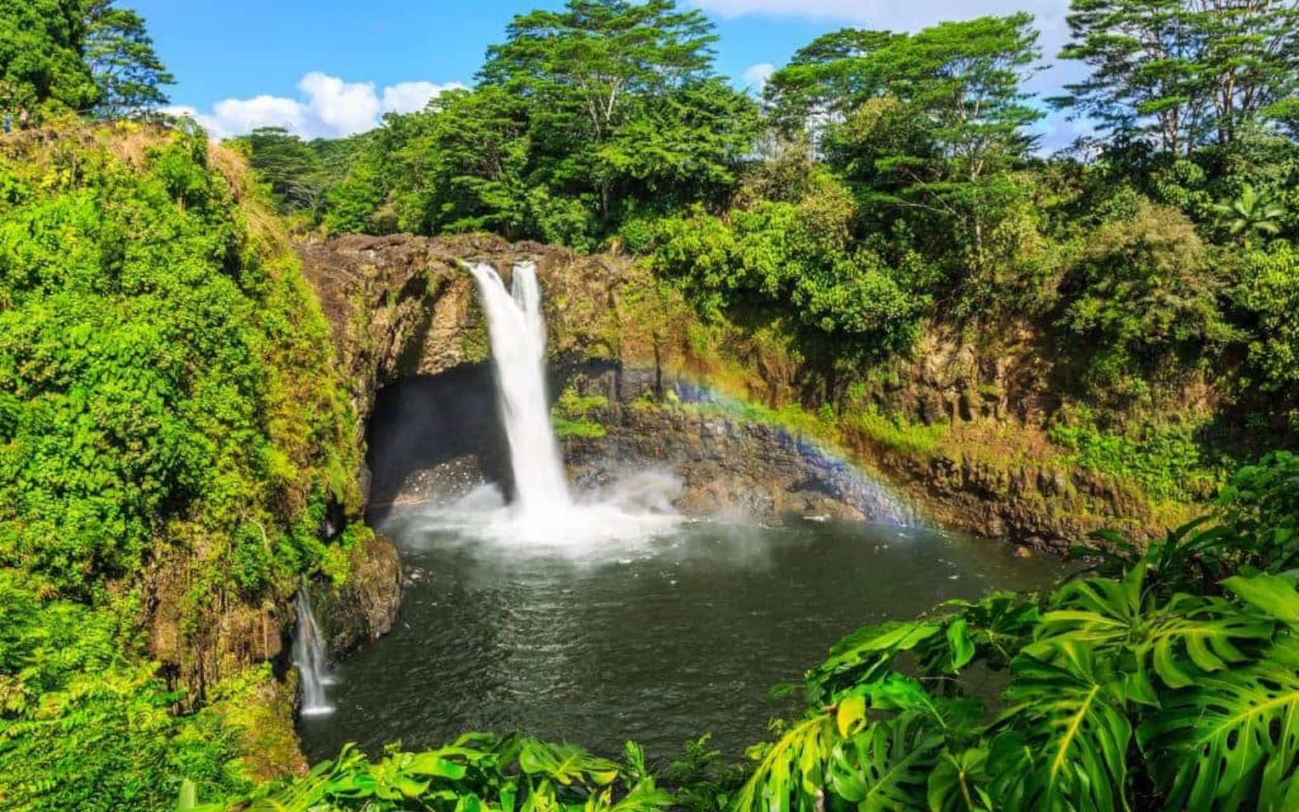 Home in Hilo · ★5.0 · 1 bedroom · 2 beds · 1 private bath - Image 139