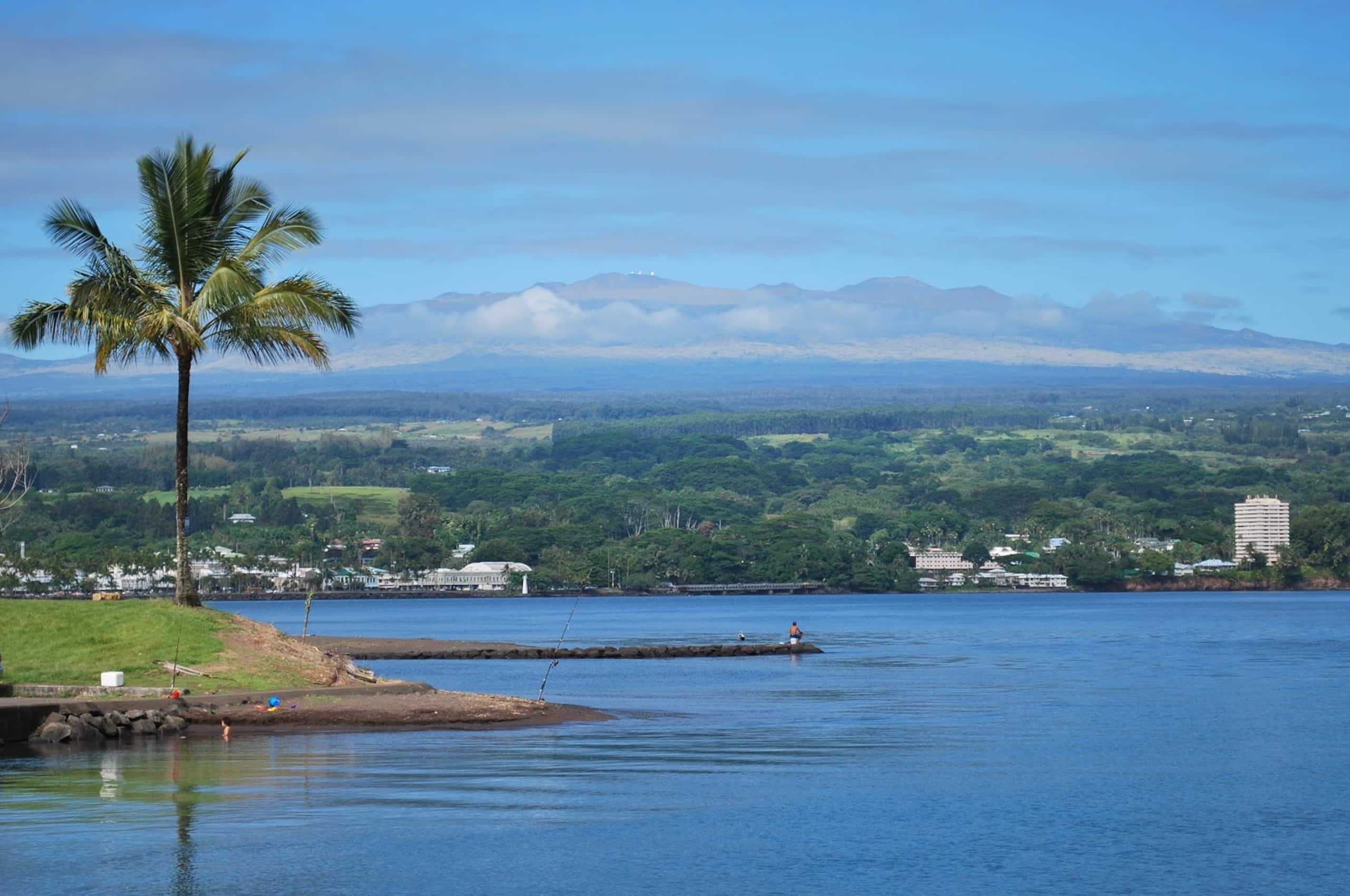 Home in Hilo · ★5.0 · 1 bedroom · 2 beds · 1 private bath - Image 135