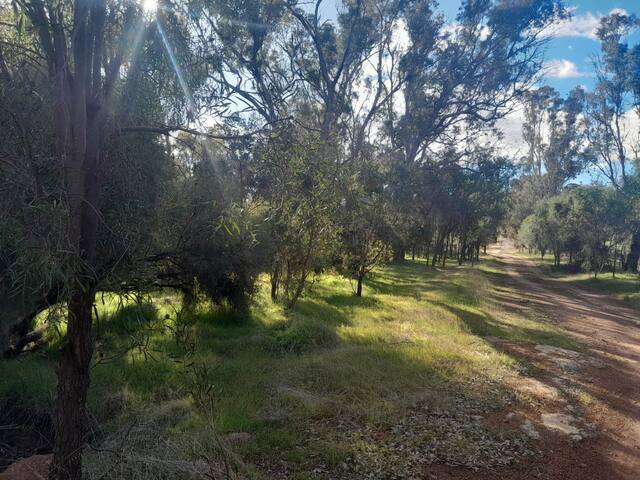 Rose Creek Farm Stay, Williams gallery image 2