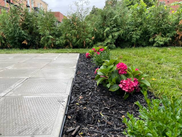 Hidden GEM MTL | Free Parking | Metro gallery image 3