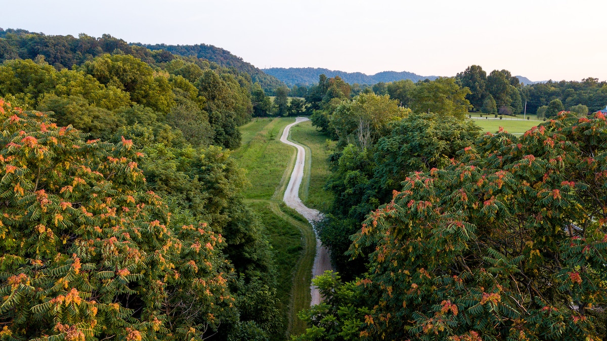 A winding path is seen meandering through lush greenery, flanked by trees with vibrant foliage. A gentle slope leads to distant rolling hills under a soft evening sky, enhancing the serene natural environment.