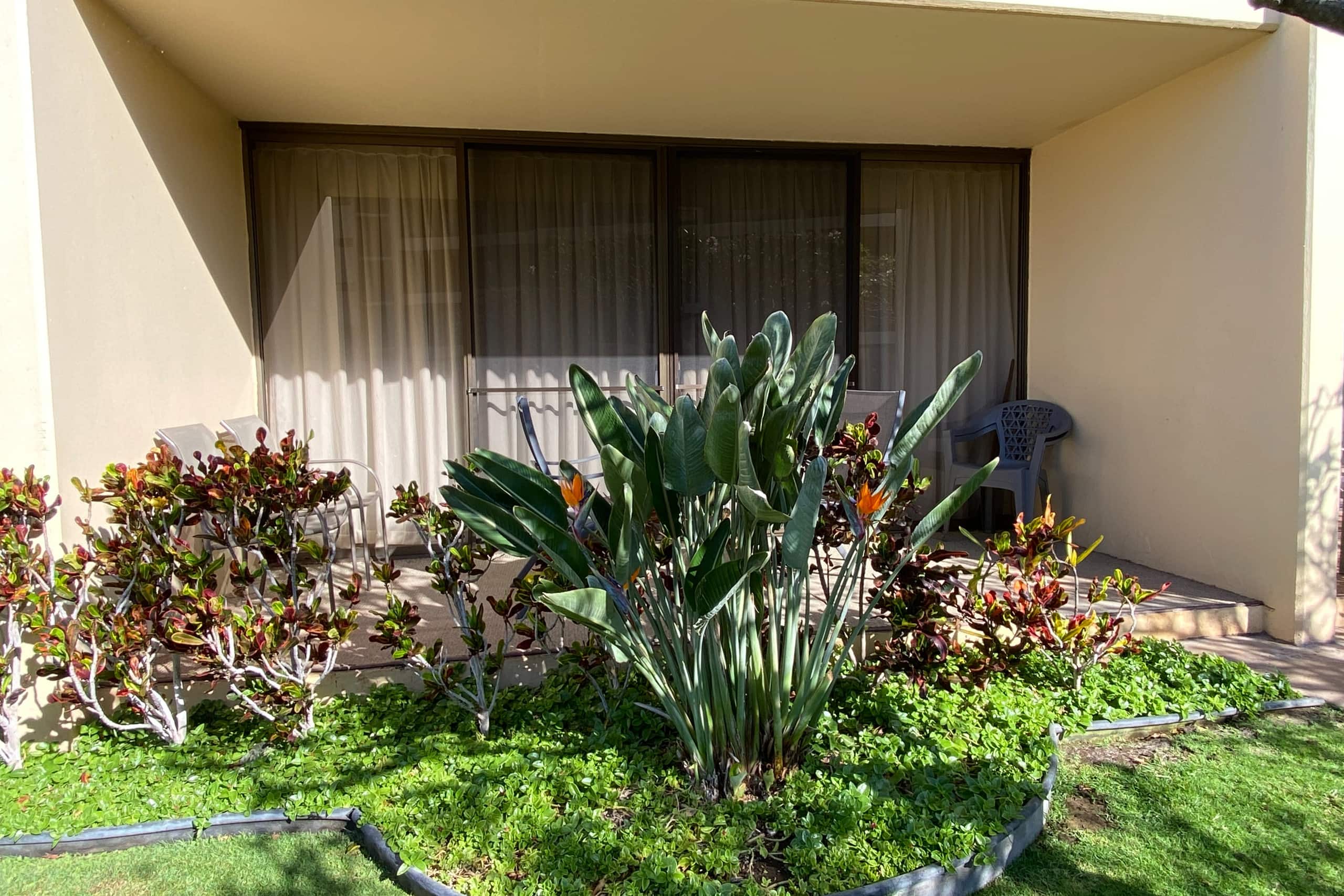 Condo in Kihei · ★4.81 · 1 bedroom · 1 bed · 1 bath - Image 2