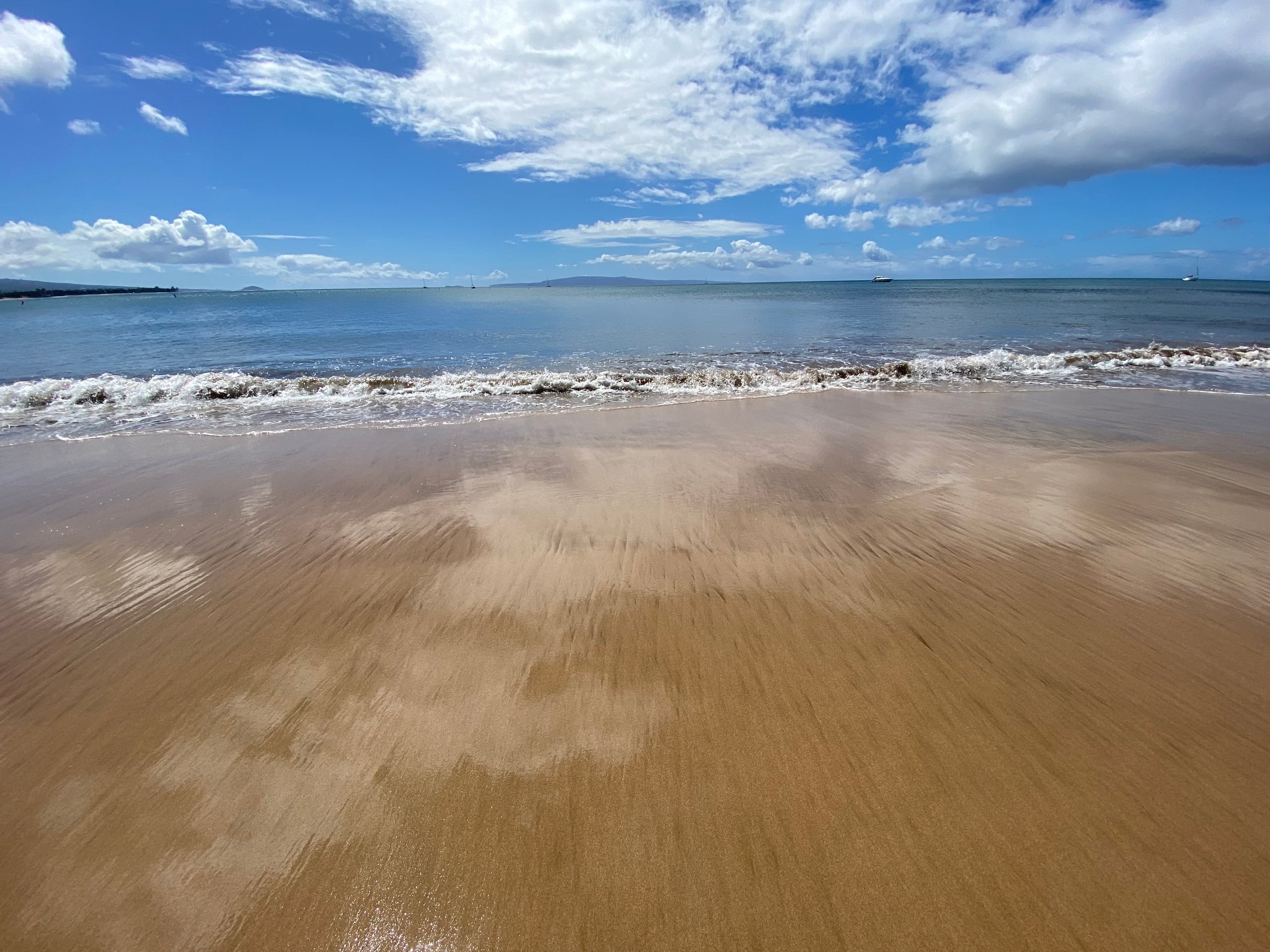 Condo in Kihei · ★4.81 · 1 bedroom · 1 bed · 1 bath - Image 1