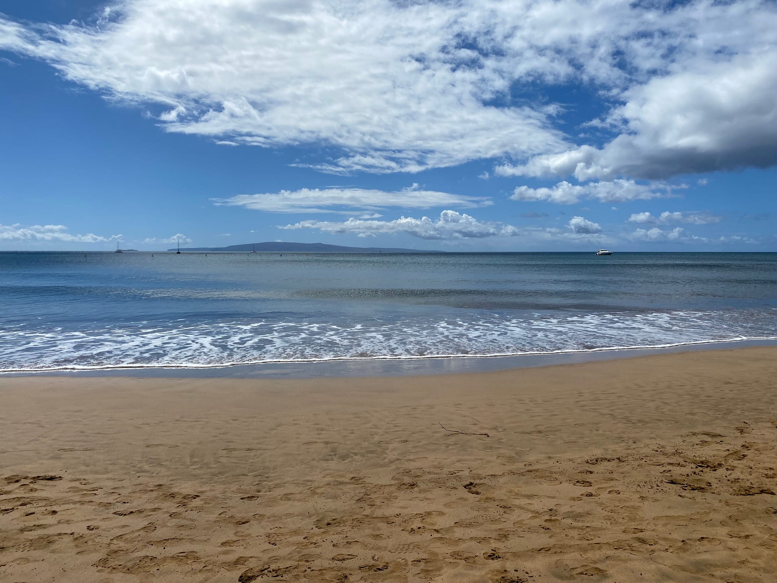 Condo in Kihei · ★4.81 · 1 bedroom · 1 bed · 1 bath - Image 20