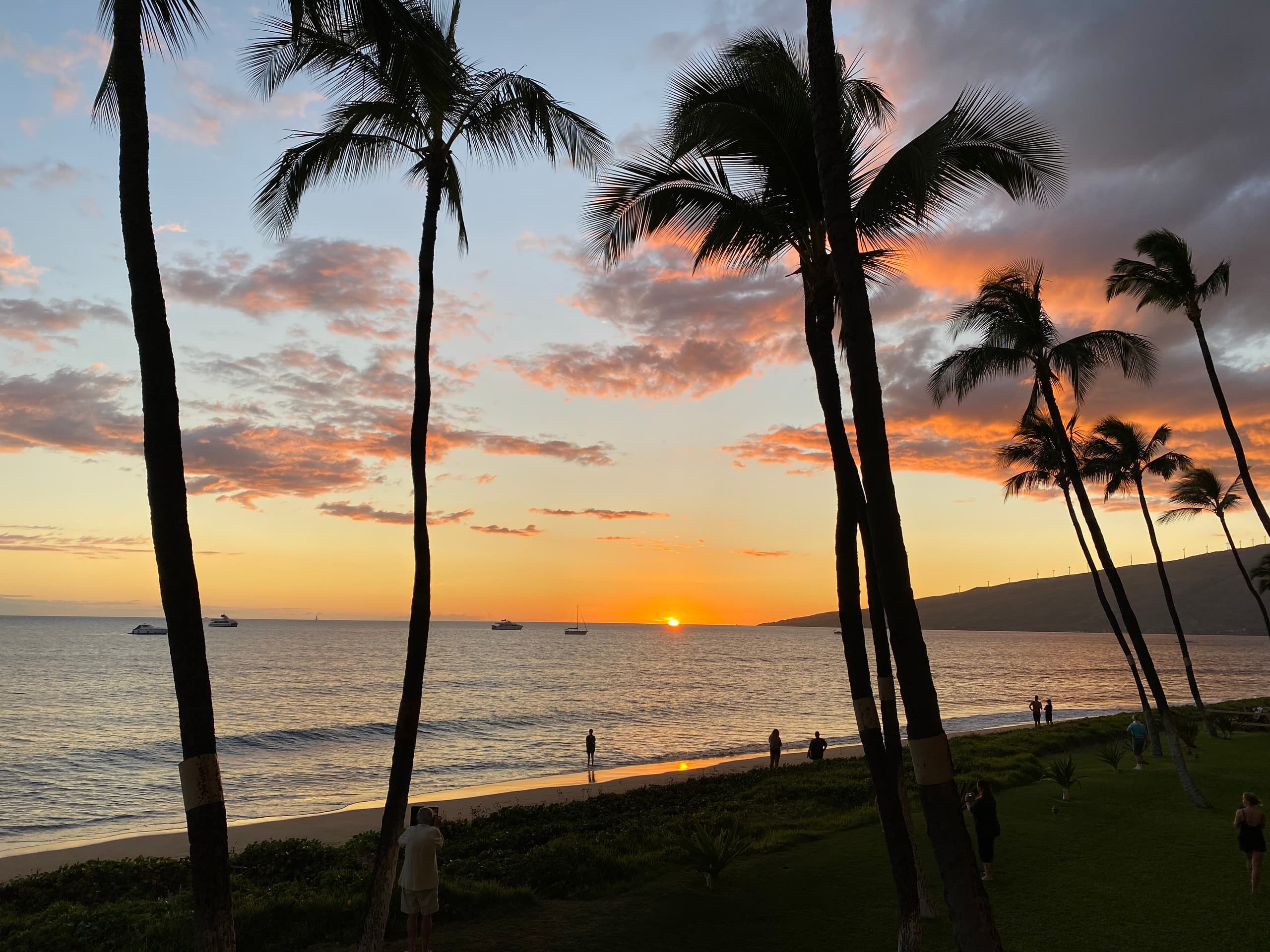 Condo in Kihei · ★4.81 · 1 bedroom · 1 bed · 1 bath - Image 26