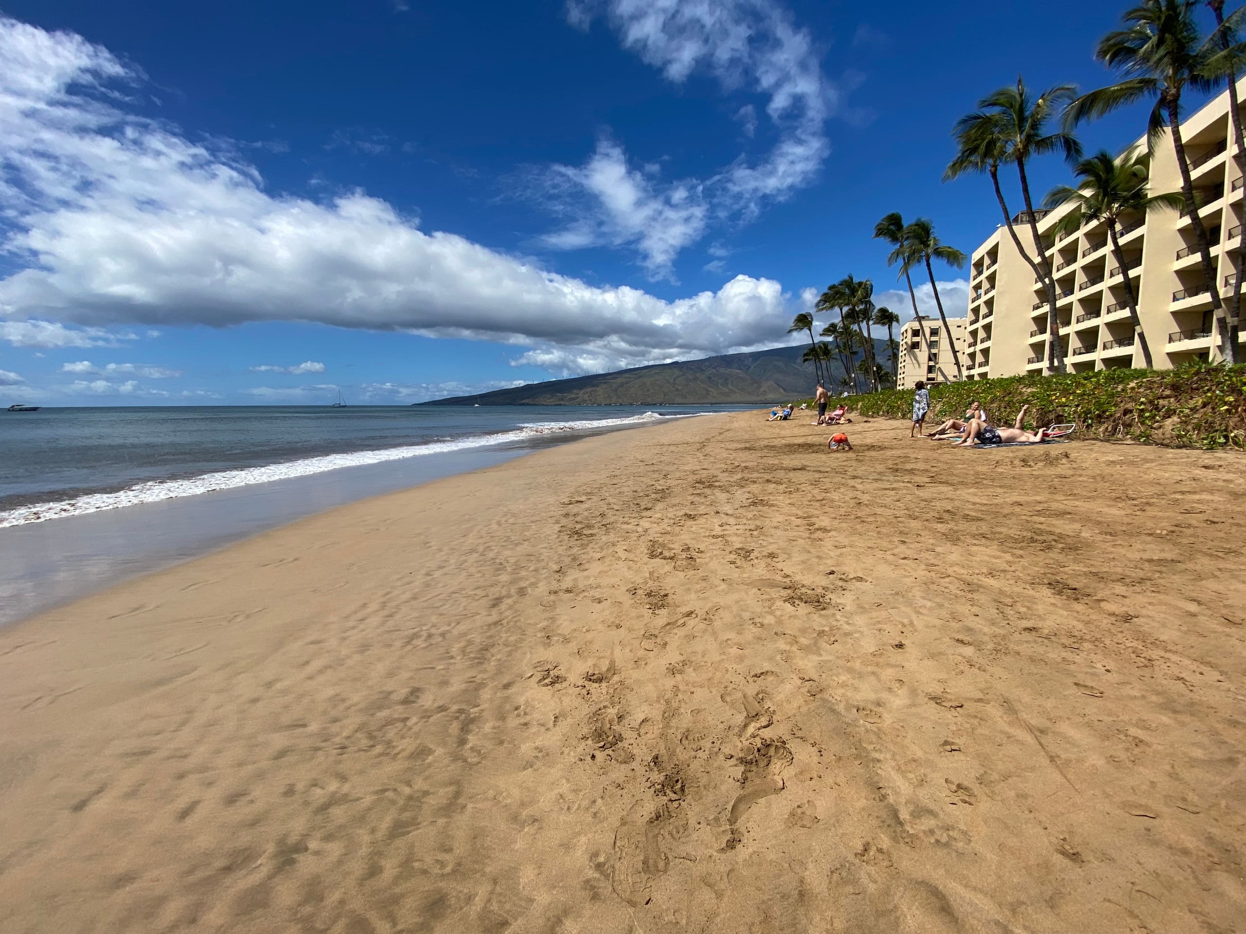 Condo in Kihei · ★4.81 · 1 bedroom · 1 bed · 1 bath - Image 25
