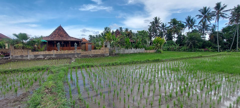A carved wooden Joglo house in the Ubud rice fields, Ubud, Bali, Indonesia, photo 8 of 10