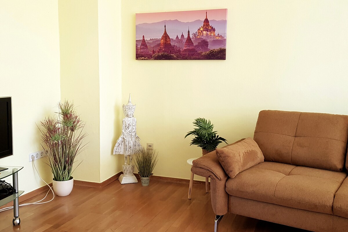 Кауч за спиење и телевизор