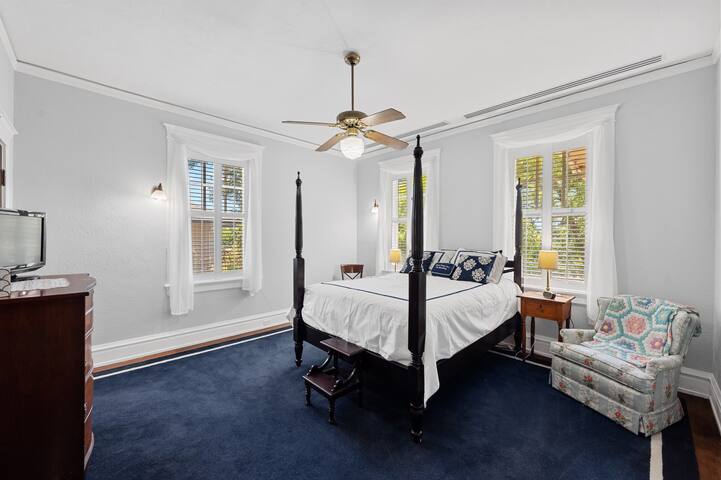 Majestic Hyde Park Historic Home gallery image 5