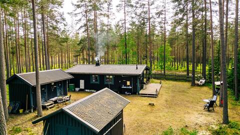 Pine cones and Blueberries