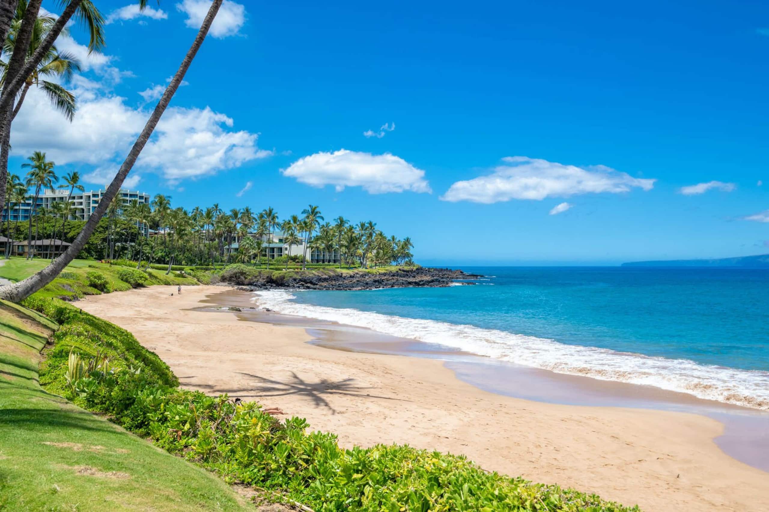 Condo in Kihei · ★5.0 · 2 bedrooms · 2 beds · 2 baths - Image 26