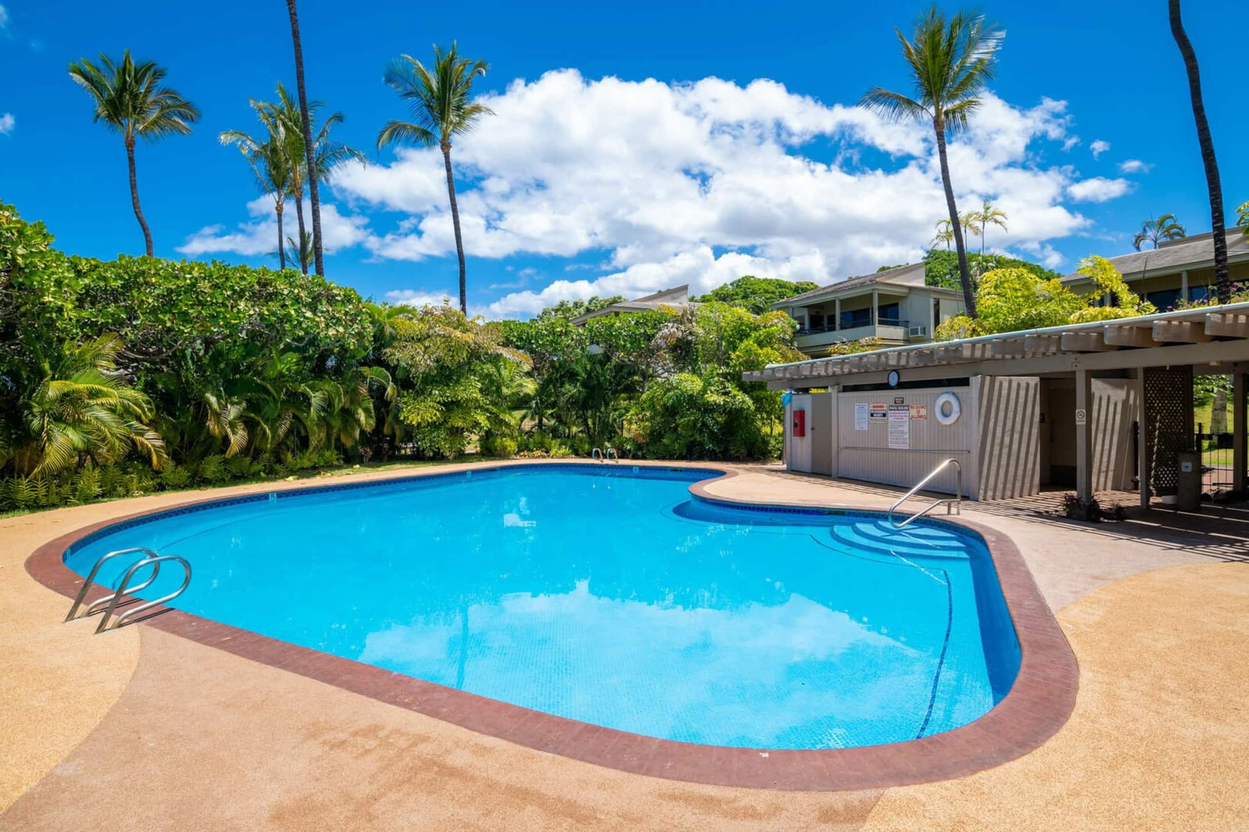 Condo in Kihei · ★5.0 · 2 bedrooms · 2 beds · 2 baths - Image 25