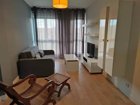 Trip to the País Vasco capital city