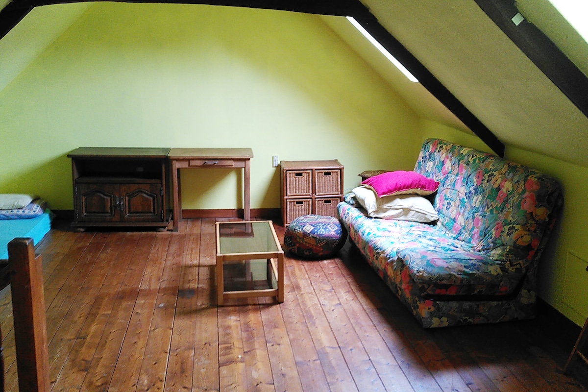 Каучот на спуштање (2 седишта) и малиот душек може да се користат како дополнителен кревет.