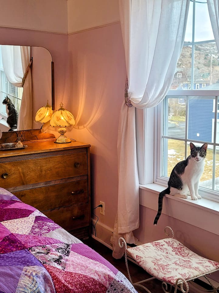 พบกับเบเบ้ เธอไม่ใช่ผู้มีถิ่นที่อยู่ถาวรและมาพักเฉพาะเมื่อเราไปพักผ่อนที่นั่น 