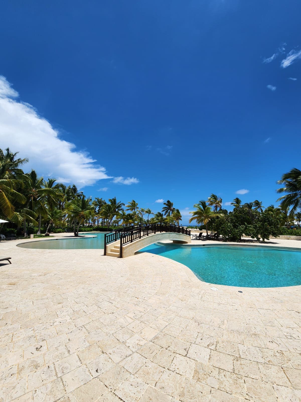 A calm pool area is surrounded by lush palm trees under a clear blue sky. The design features a bridge spanning across the water, connecting different sections of the pool. Light-colored stone decking enhances the tropical atmosphere.
