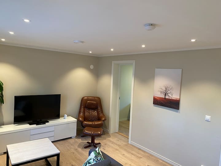 Apartment near centrum