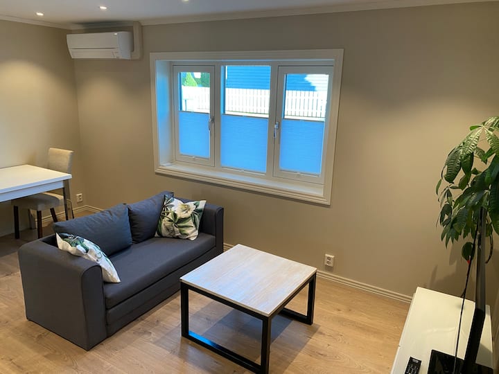 Apartment near centrum