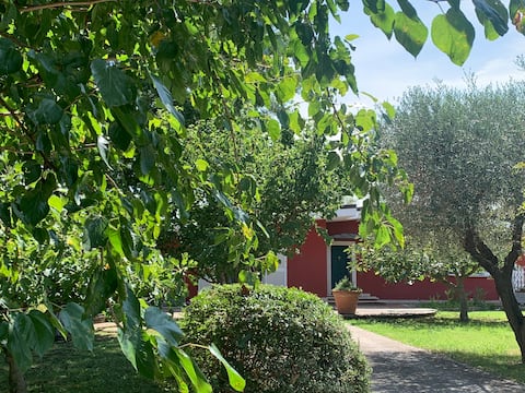 Cottage in the countryside in Latina, 40 minutes from Rome